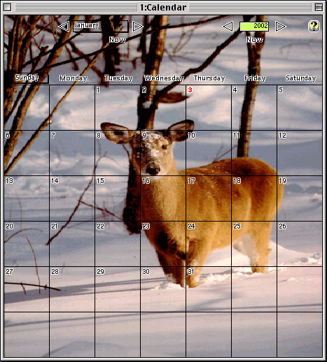 Calendar a4 image